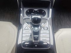 BYD Qin PLUS Glory Edition DM-i 55KM Leading - ფოტო 16