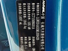 Haval Chitu Jingxiang Edition 1.5T Purple Copper Rabbit - ფოტო 17