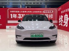 Tesla Model Y Rear-Wheel Drive - ფოტო 2