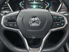 Bo Sheng Bosheng Commercial 2.0T Automatic Diesel 4WD Long Wheelbase Luxury Edition - ფოტო 16