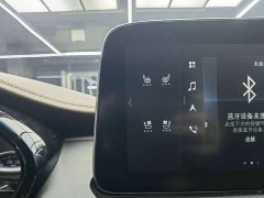 Buick GL8 2022 Land Executive Cabin 652T Luxury - фото 13