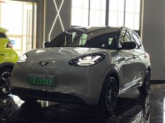 Wuling Binguo 333km Joy Edition - ფოტო 1