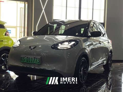 2023 Wuling Binguo 333km Joy Edition - ავტომობილი ჩინეთიდან