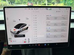 Tesla Model 3 2025 Rear-Wheel Drive - ფოტო 10