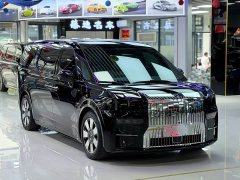 Zeekr Geely Zeekr 009 2022 WE Edition - ფოტო 3