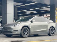 Tesla Model Y 2022 Rear-Wheel Drive - ფოტო 1