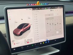 Tesla Model Y 2022 Rear-Wheel Drive - ფოტო 14