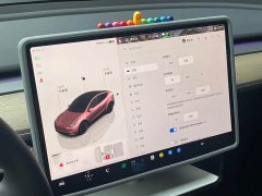 Tesla Model Y 2022 Rear-Wheel Drive - ფოტო 16