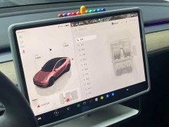 Tesla Model Y 2022 Rear-Wheel Drive - ფოტო 18