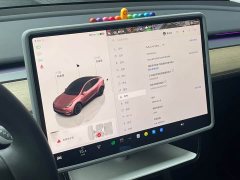 Tesla Model Y 2022 Rear-Wheel Drive - ფოტო 19