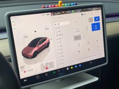 Tesla Model Y 2022 Rear-Wheel Drive - ფოტო 20