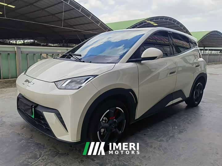 BYD Seagull Glory Edition 405km Flying Edition