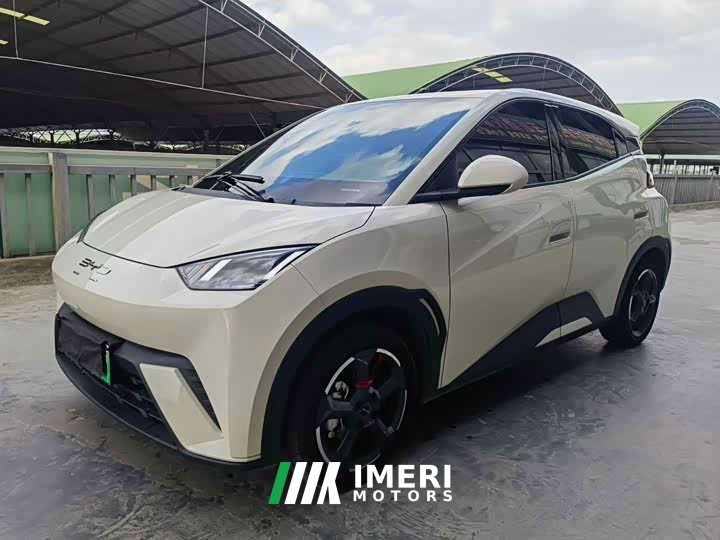 BYD Seagull Glory Edition 405km Flying Edition - ავტომობილი ჩინეთიდან