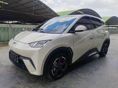 BYD Seagull Glory Edition 405km Flying Edition - ფოტო 1