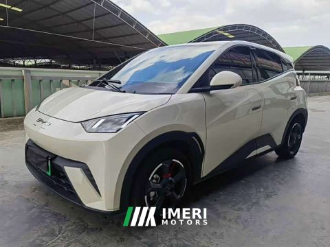 2024 BYD Seagull Glory Edition 405km Flying Edition - ავტომობილი ჩინეთიდან