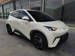 BYD Seagull Glory Edition 405km Flying Edition - ფოტო 3