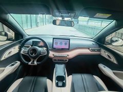BYD Seagull Glory Edition 405km Flying Edition - ფოტო 8