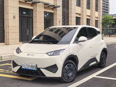 BYD Seagull Smart Drive 305km Vitality Edition - ფოტო 1