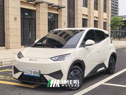 2025 BYD Seagull Smart Drive 305km Vitality Edition - ავტომობილი ჩინეთიდან