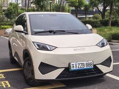 BYD Seagull Smart Drive 305km Vitality Edition - ფოტო 4