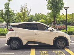 BYD Seagull Smart Drive 305km Vitality Edition - ფოტო 5