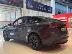 Tesla Model Y Rear-Wheel Drive - ფოტო 6