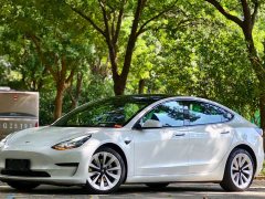 Tesla Model 3 Standard Range RWD Upgrade - ფოტო 1