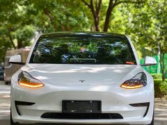Tesla Model 3 Standard Range RWD Upgrade - ფოტო 2