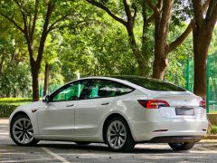 Tesla Model 3 Standard Range RWD Upgrade - ფოტო 6