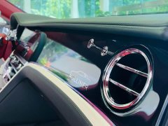 Bentley Flying Spur 2024 4.0T V8 Mulliner - ფოტო 16