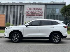 Haval H6 2022 Third Generation 1.5T Automatic Two-Wheel Drive Max - ფოტო 6