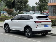 Haval H6 2022 Third Generation 1.5T Automatic Two-Wheel Drive Max - ფოტო 7