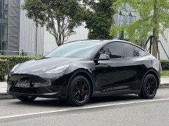 Tesla Model Y 2022 Facelift Rear-Wheel Drive - ფოტო 1