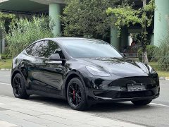 Tesla Model Y 2022 Facelift Rear-Wheel Drive - ფოტო 7