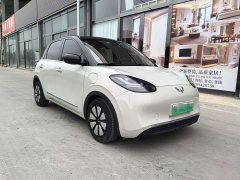 Wuling Binguo 333km Lingxi Connected Edition - ფოტო 3