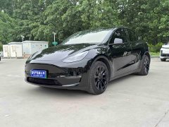 Tesla Model Y Long Range All-Wheel Drive - ფოტო 1