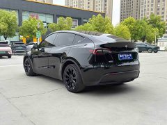 Tesla Model Y Long Range All-Wheel Drive - ფოტო 12