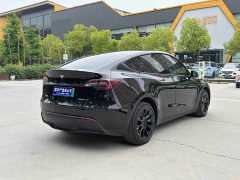 Tesla Model Y Long Range All-Wheel Drive - ფოტო 13