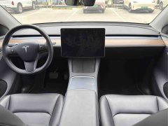 Tesla Model Y Long Range All-Wheel Drive - ფოტო 8