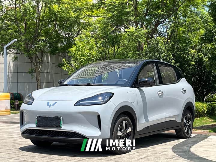 Wuling Binguo PLUS 2024 510km 5-Seater - ავტომობილი ჩინეთიდან