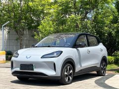 Wuling Binguo PLUS 2024 510km 5-Seater - ფოტო 1