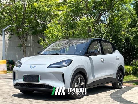 2026 Wuling Binguo PLUS 2024 510km 5-Seater - ავტომობილი ჩინეთიდან