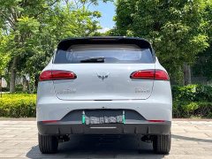Wuling Binguo PLUS 2024 510km 5-Seater - ფოტო 11