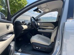 Wuling Binguo PLUS 2024 510km 5-Seater - ფოტო 4
