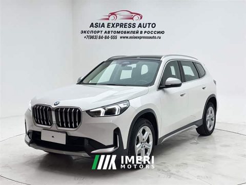 2023 BMW X1 sDrive20Li X Design Package - car from China