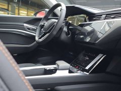 Audi e-tron 2021 50 quattro Luxury - ფოტო 13