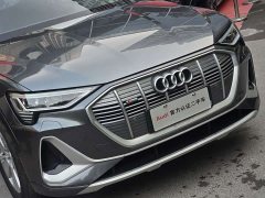 Audi e-tron 2021 50 quattro Luxury - ფოტო 3