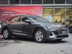 Audi e-tron 2021 50 quattro Luxury - ფოტო 4