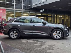 Audi e-tron 2021 50 quattro Luxury - ფოტო 5