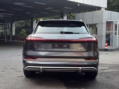 Audi e-tron 2021 50 quattro Luxury - ფოტო 6